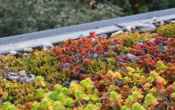 the cost of Zeals green roof installation