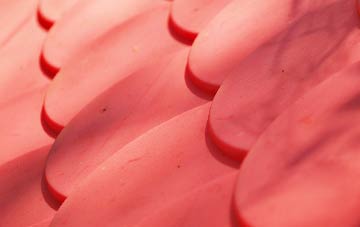 Zeals plastic roof costs