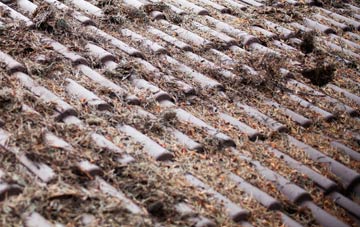 Zeals roof cleaning companies