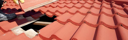 compare Zeals roof repair quotes