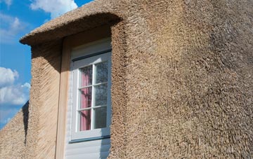 Zeals thatch roof disadvantages