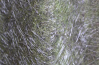 Zeals fibreglass roof work